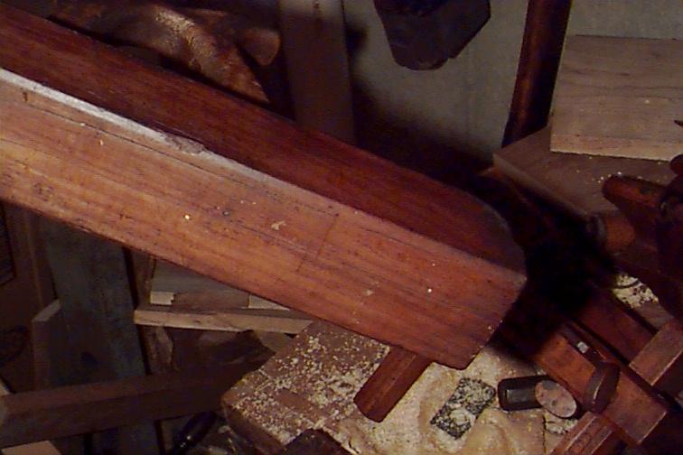 View of the sole